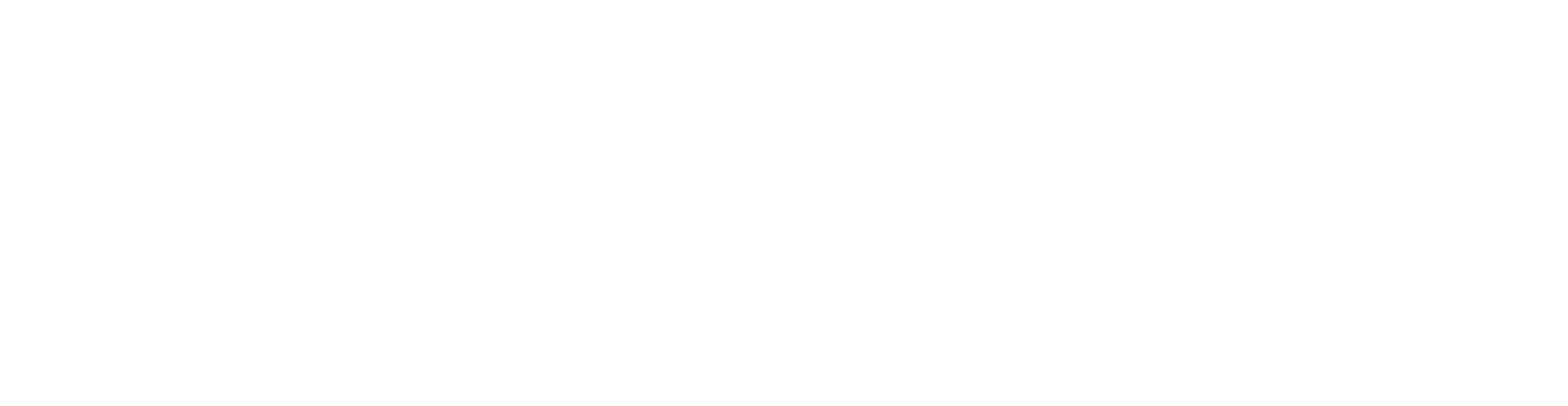 Logotipo de la AAEE en blanco